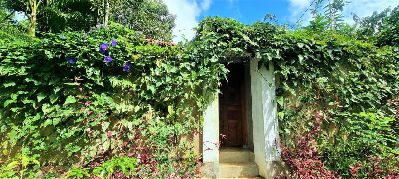 Sand Dollar House, Hiriketiya Dikwella Kültér fotó